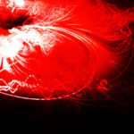 JavaJazz-abstraction-singing-flower