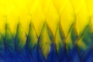 JavaJazz-abstract-dancers